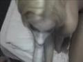Rubia Recibiendo por el Culo