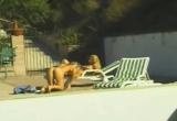 Lesbianas pilladas comiendose los coños en la piscina